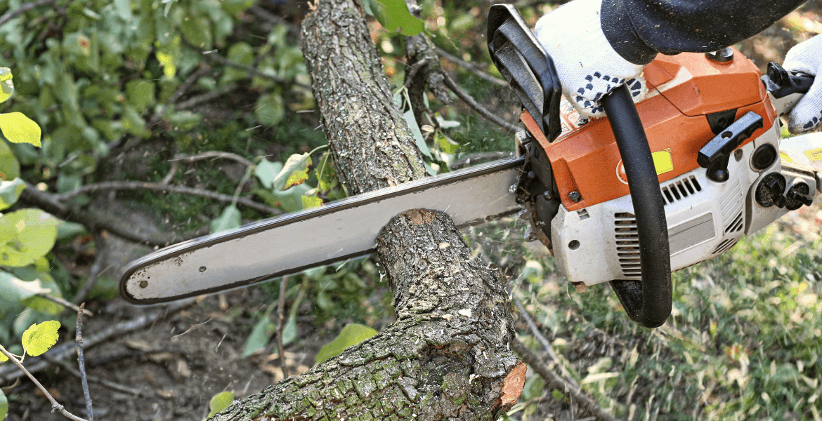 Tree Leaf Landscaping
