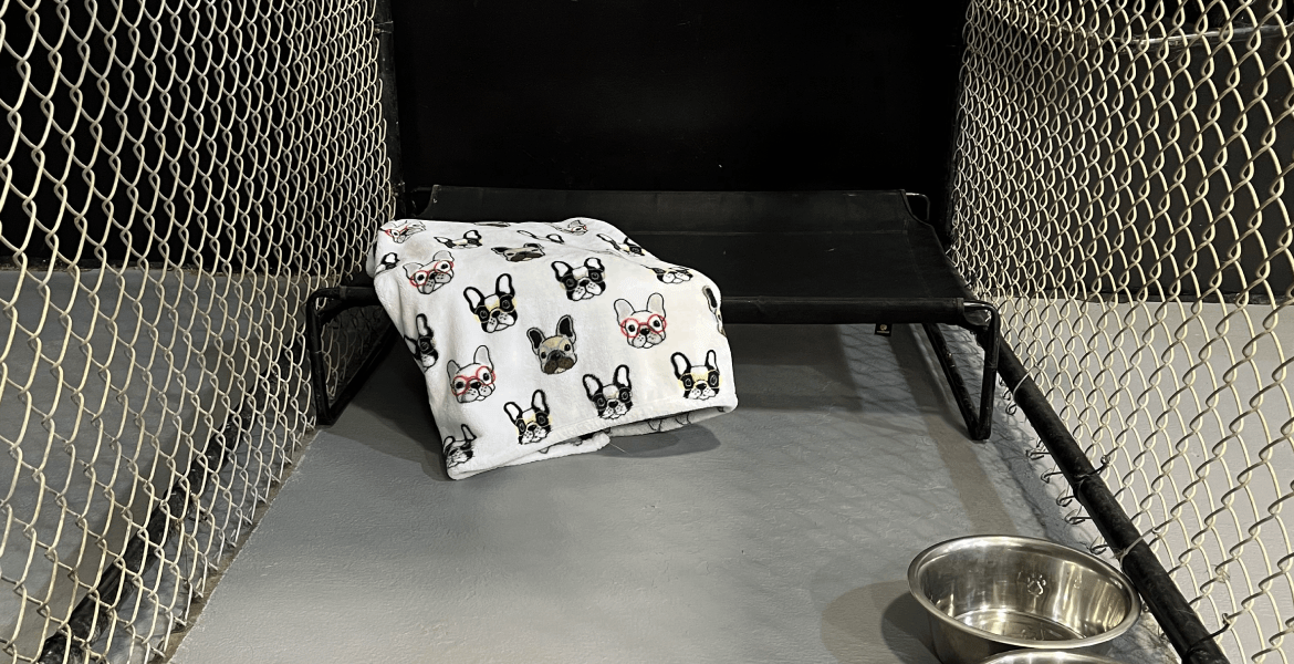 Must Love Paws - Lebanon