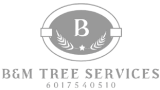 B&M Tree Services
