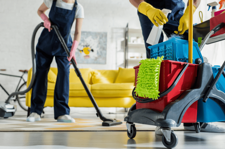 Intimate Pristine Cleaning Service