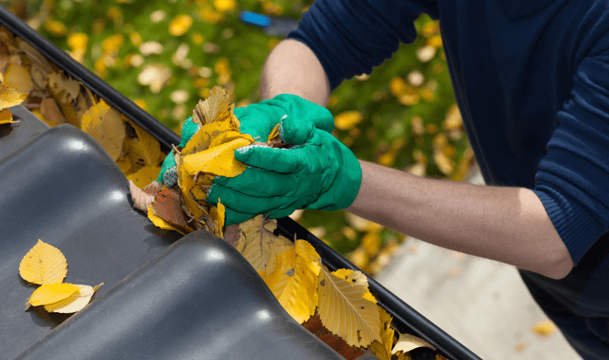 Gutter Cleaning