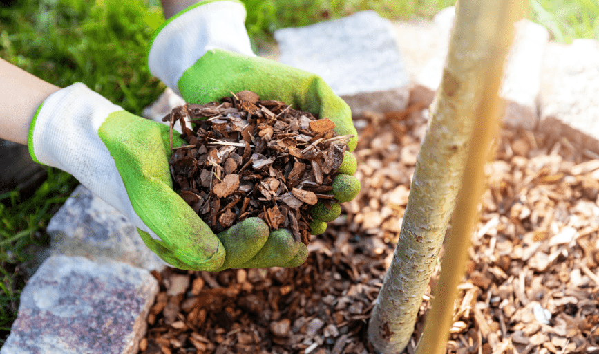 Mulch Installation