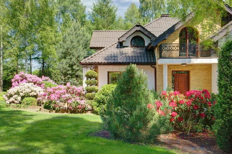 AER Lawn Services and Maintenance LLC