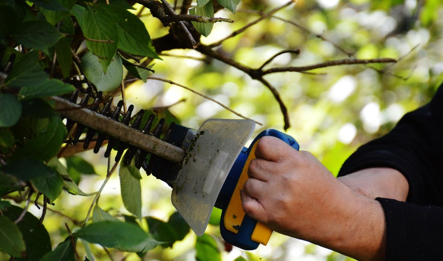 AER Lawn Services and Maintenance LLC