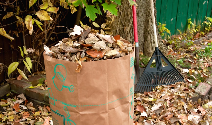 Yard Waste Removal