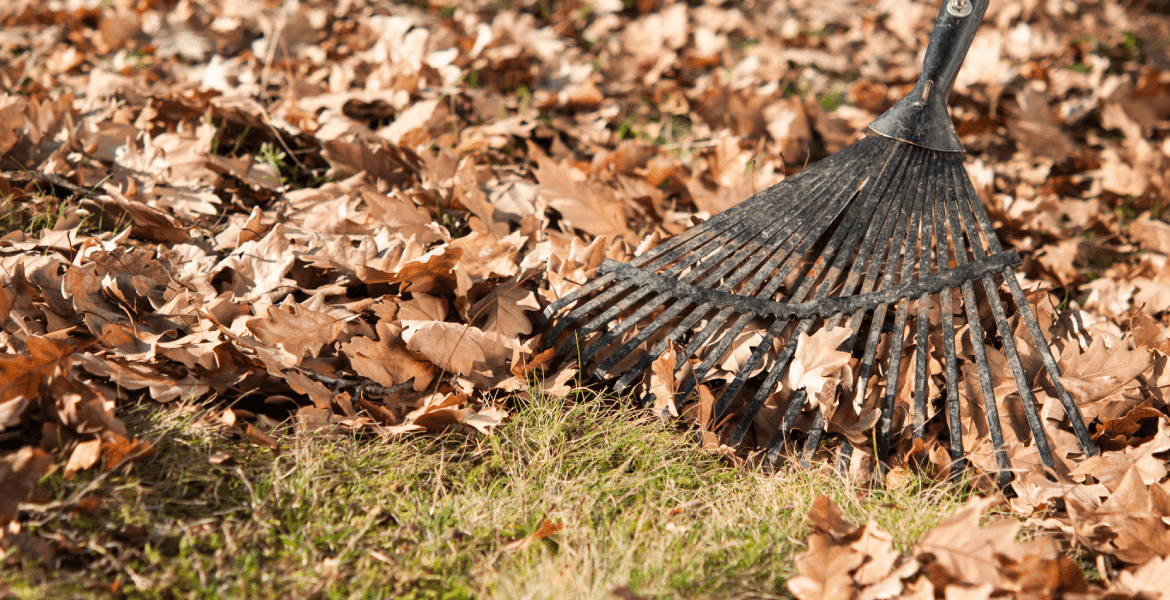 Mitten Lawncare Management