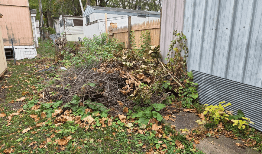 Yard Waste Removal