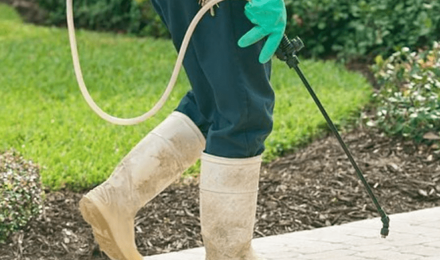 RESIDENTIAL PEST CONTROL