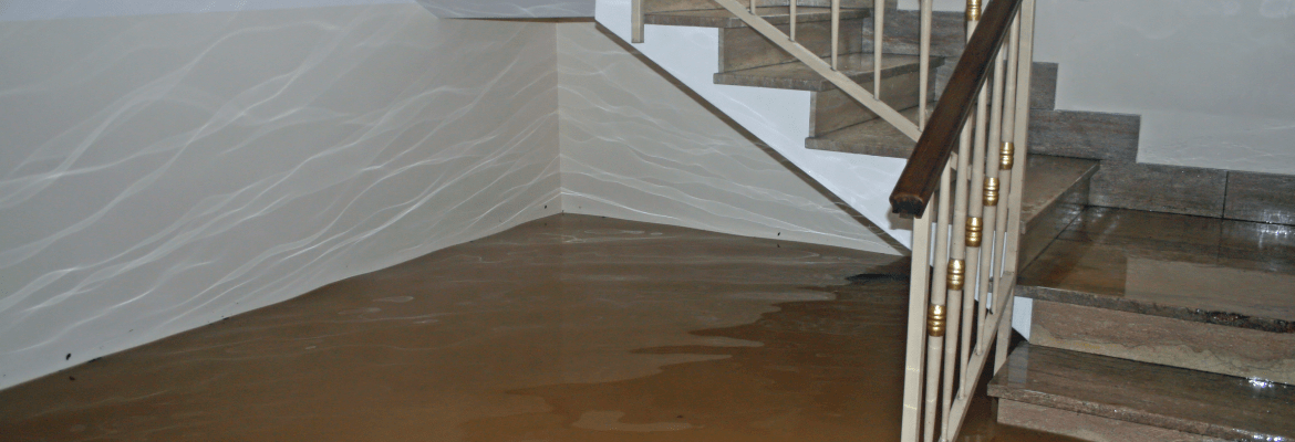 Colorado Painting and Restoration