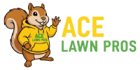  Ace Lawn Pros