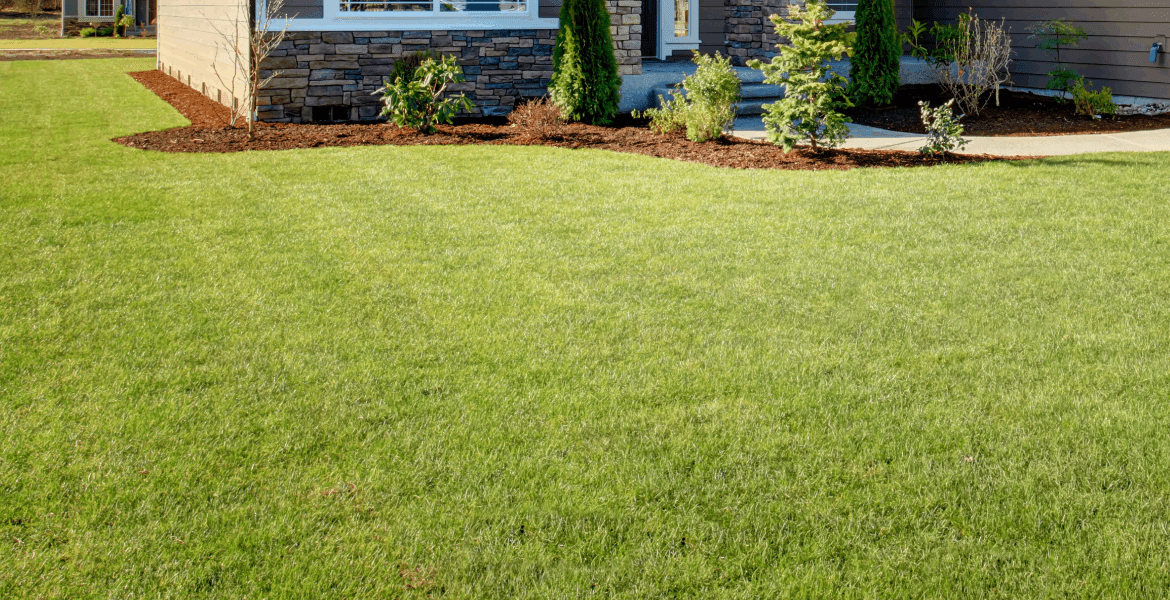 Fernandez Landscaping Design