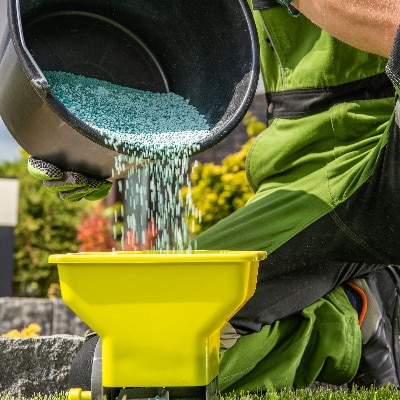 Fertilization Service