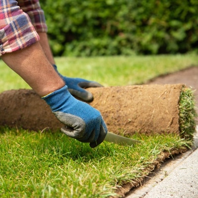 Sod Installation