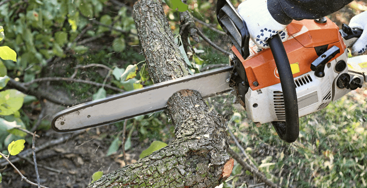 Cooper's Tree Service