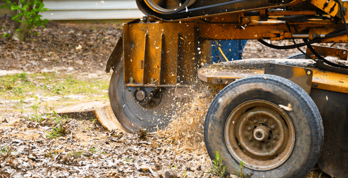Cooper's Tree Service
