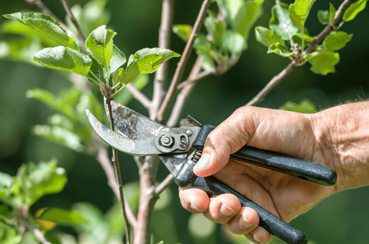 J&J Home Improvement Consultants