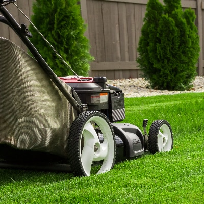 Lawn Care