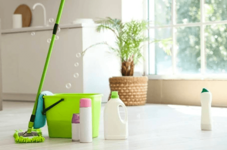 House Nurse Cleaning Company