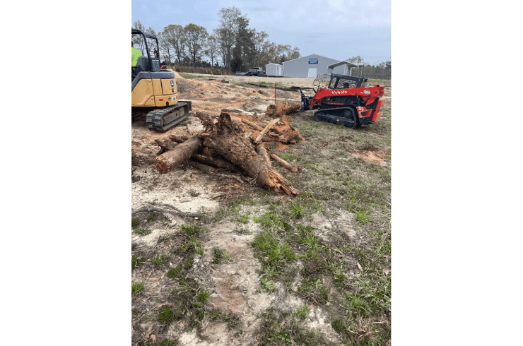 Darrick's Firewood and Tree Service