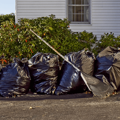 Yard Debris Removal