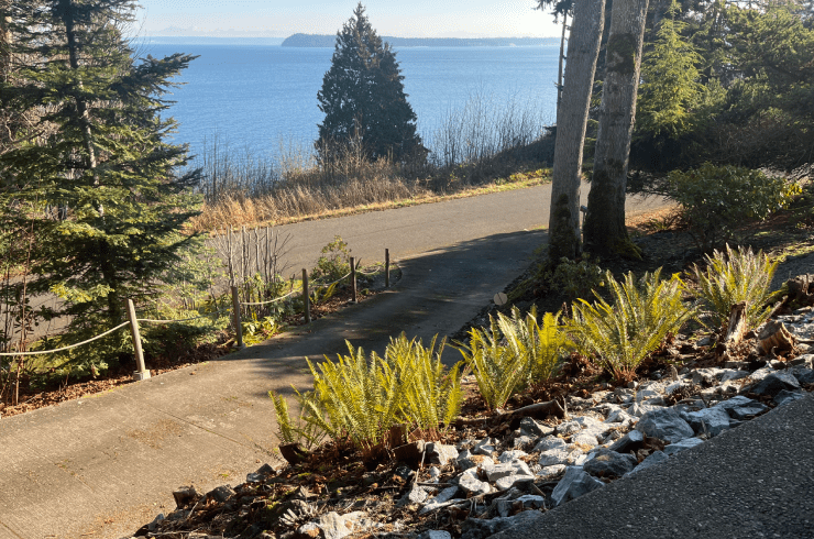 Soul Harbor Massage & Bodywork