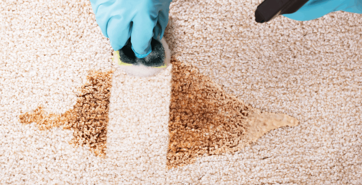 Beauty & Beyond Co. Cleaning Service