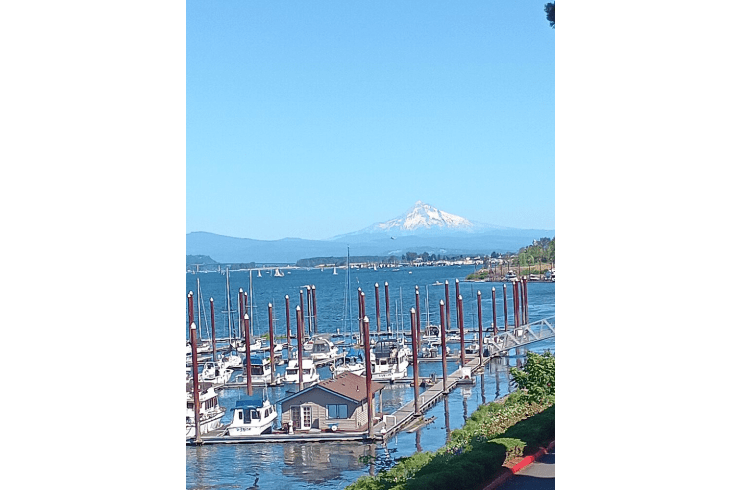 River City 4 Rentals