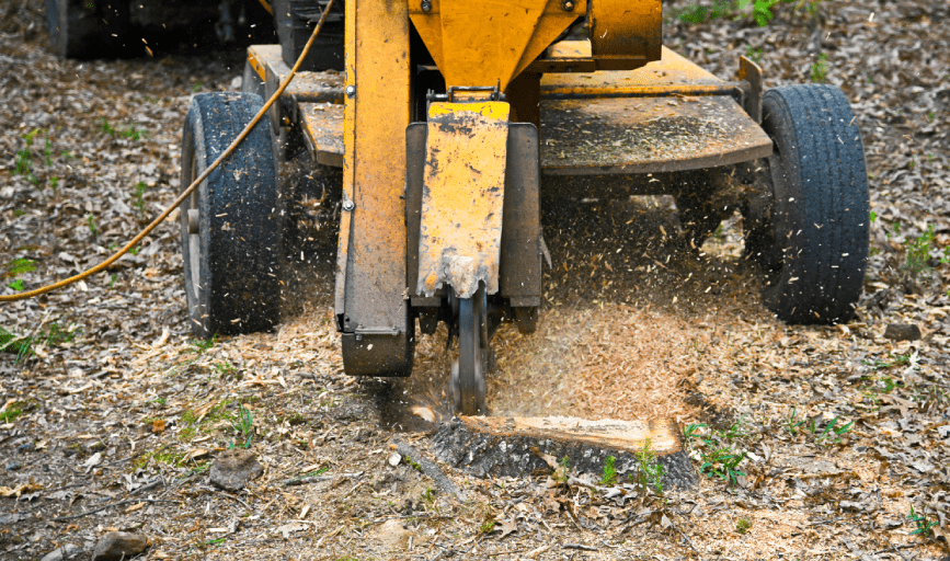 Stump Grinding
