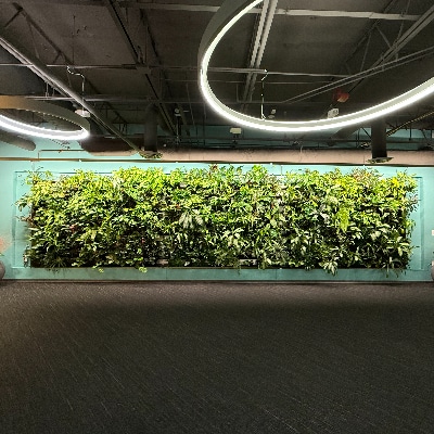 Interior Plantscaping