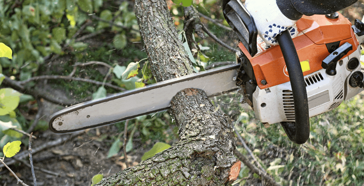 Dukes Family Forestry