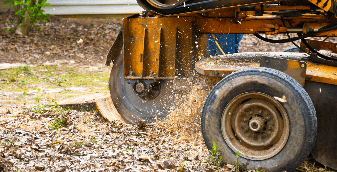 Dukes Family Forestry