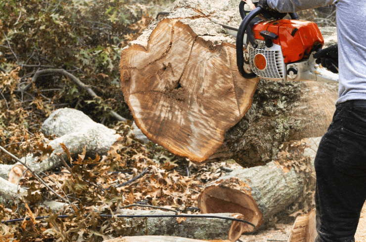 Tower Mountain Tree Service