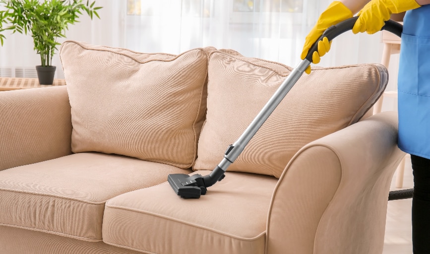 Crazy Clutter Cleaners