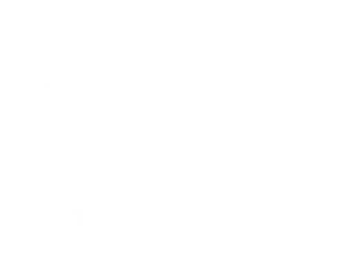 Noir Society