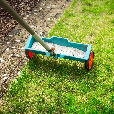 Lawn Fertilization