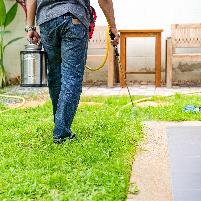 Lawn Pest Control