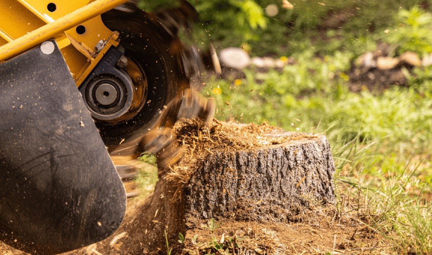 Stump Grinding