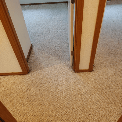 PET STAIN REMOVAL