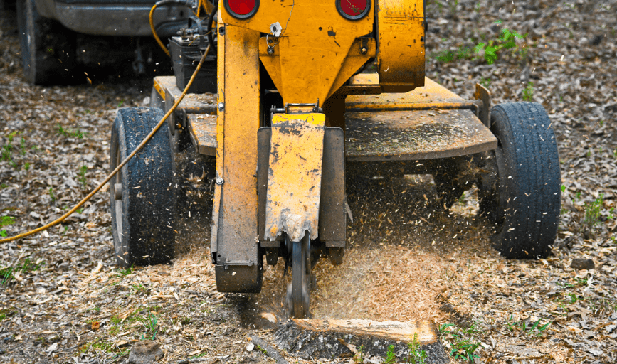 The Newman Group Tree Removal
