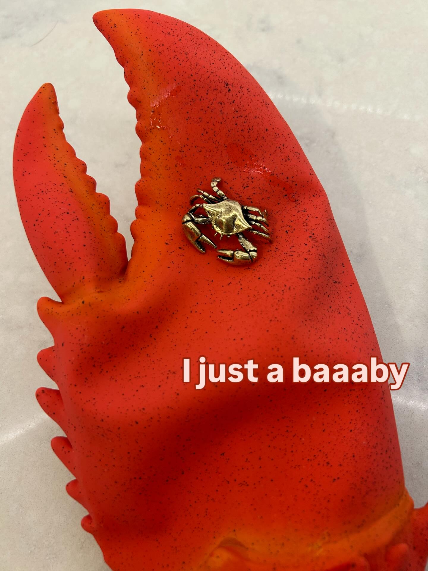 Brig Crabbing Rentals Instagram post 4