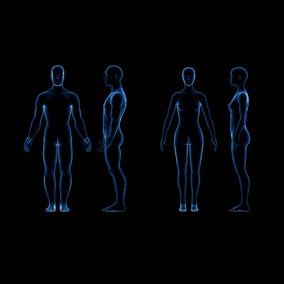3D Body Scan Assessment