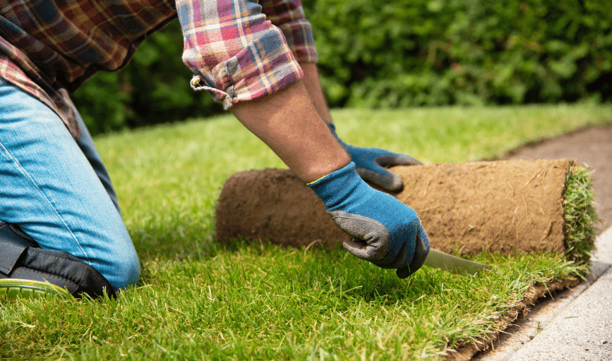 Sod Installation