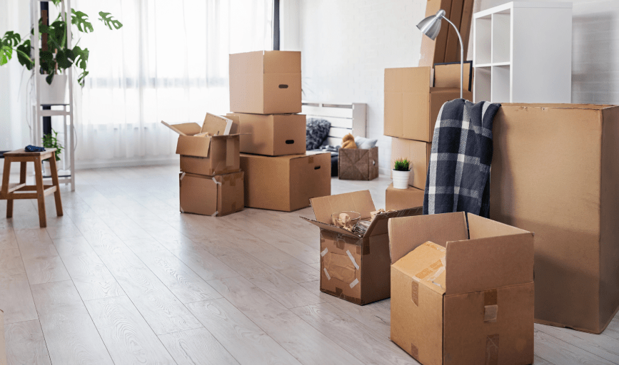 Move In and Move Out Cleaning