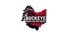 Buckeye Branch and Tree Service