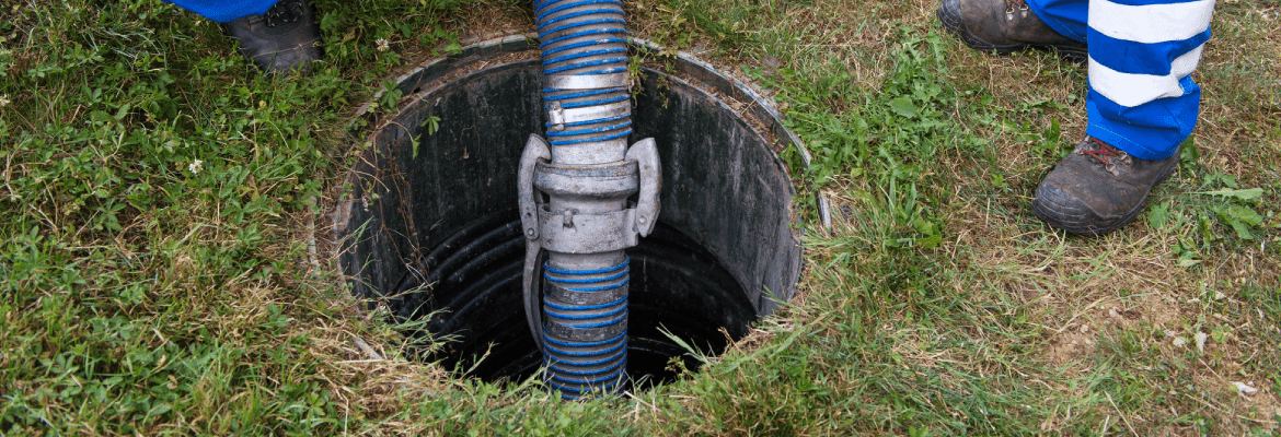 Blue Iguana Drain Solutions 