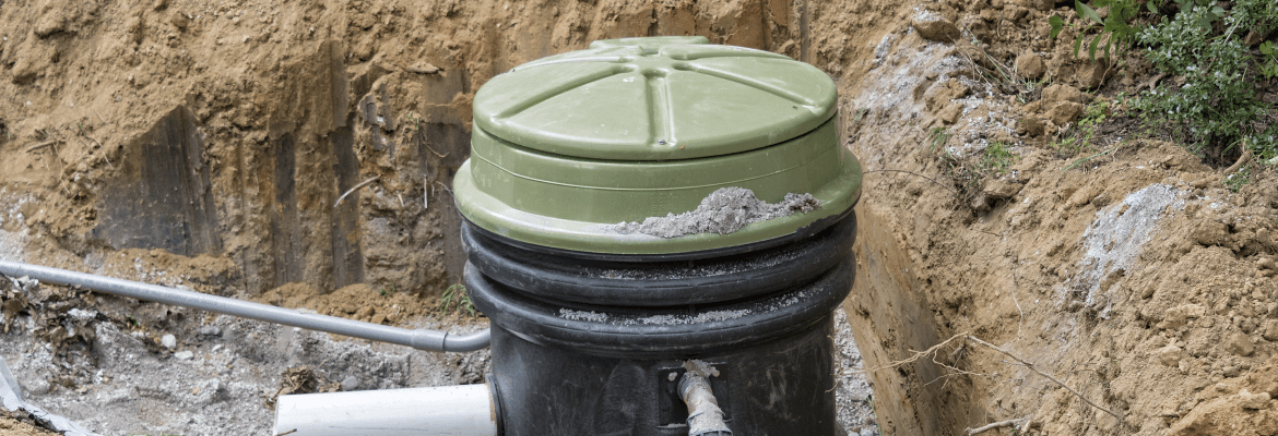 Blue Iguana Drain Solutions 