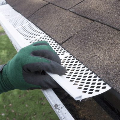 Gutter Cleaning