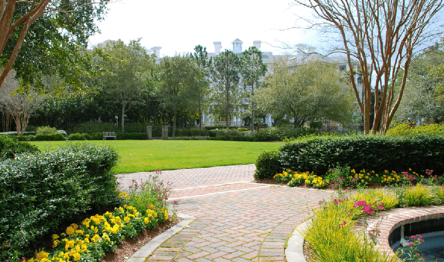 Commercial Landscaping