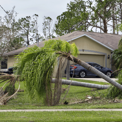 Storm Damage Checks