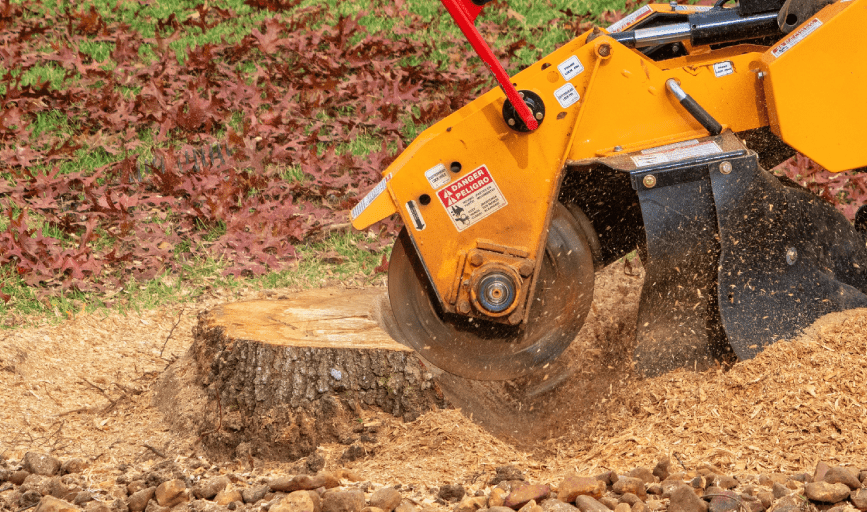Stump Grinding